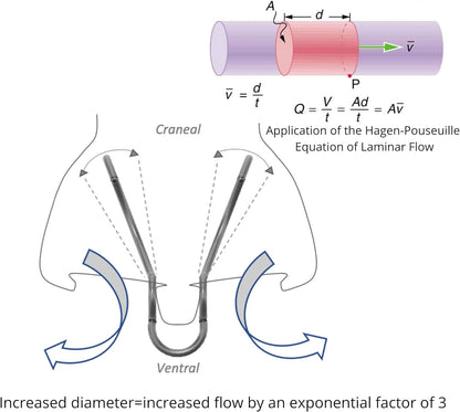 Diagram showing how nasal dilator expands the airways working with cartlidge in the body.